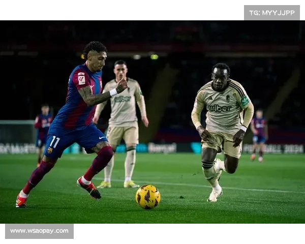 巴塞罗那足球队参加的西班牙足球联赛及其历史成就解析