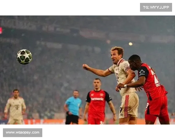 德甲长期一强独大之谜揭示拜仁为何难遇真正挑战者